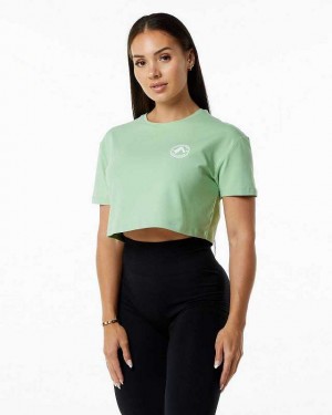 Dámské Košile S Krátkým Rukávem Alphalete Dynasty Crop Zelene | CZ-254701