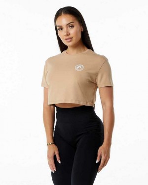Dámské Košile S Krátkým Rukávem Alphalete Dynasty Crop Hnědé | CZ-301589