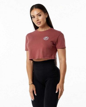 Dámské Košile S Krátkým Rukávem Alphalete Dynasty Crop Červené | CZ-145286