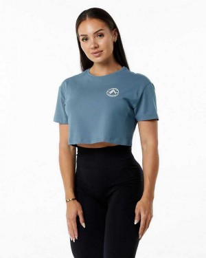 Dámské Košile S Krátkým Rukávem Alphalete Dynasty Crop Blankyt | CZ-843672