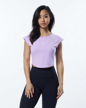 Dámské Košile S Krátkým Rukávem Alphalete Velocity Crop Fialové | CZ-382796