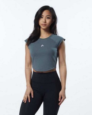 Dámské Košile S Krátkým Rukávem Alphalete Velocity Crop Béžový Šedé | CZ-765289