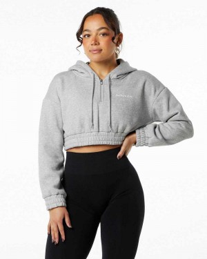 Dámské Mikina s Kapucí Alphalete Classic Capital Crop Šedé | CZ-365024