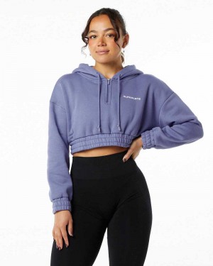Dámské Mikina s Kapucí Alphalete Classic Capital Crop Fialové | CZ-692184