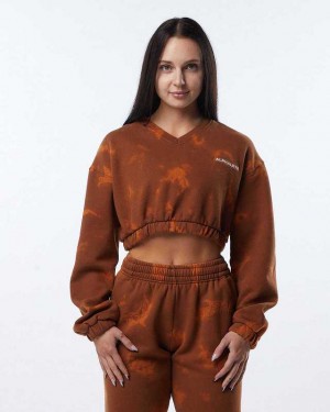 Dámské Svetr Alphalete HCTS Hnědé | CZ-752613