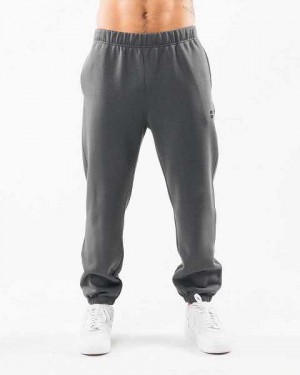Pánské Kalhoty Jogger Alphalete Academy Relaxed Šedé | CZ-619587