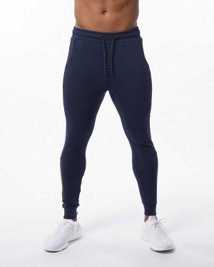 Pánské Kalhoty Jogger Alphalete ELMTS Cuffed Blankyt | CZ-934571