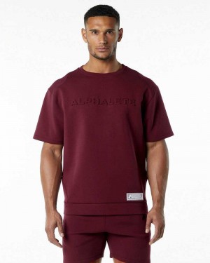 Pánské Pulovr Alphalete ELMTS Half Sleeve Červené | CZ-106428