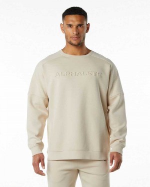 Pánské Svetr Alphalete ELMTS Crewneck Hnědé | CZ-197520