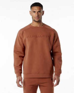Pánské Svetr Alphalete ELMTS Crewneck Hnědé | CZ-624758