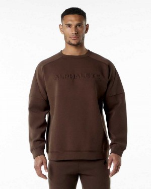Pánské Svetr Alphalete ELMTS Crewneck Hnědé | CZ-017438