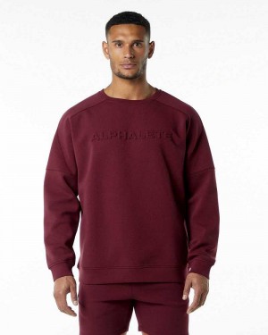 Pánské Svetr Alphalete ELMTS Crewneck Červené | CZ-736105