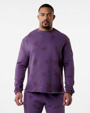 Pánské Svetr Alphalete HCTS Drop Shoulder Fialové | CZ-107698