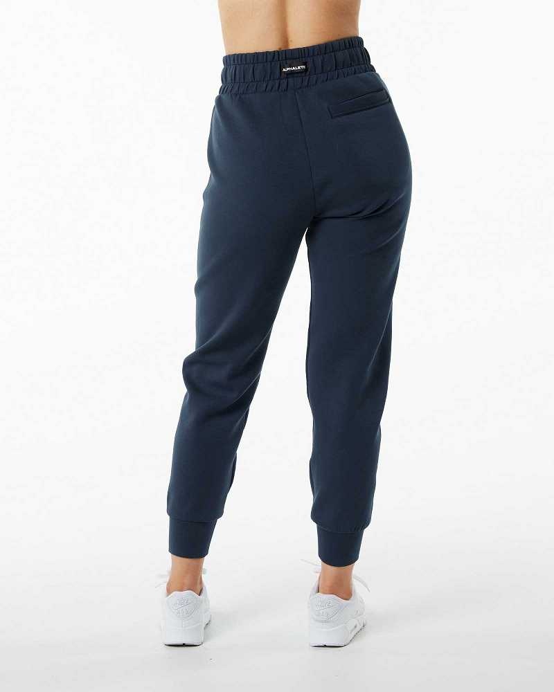 Dámské Kalhoty Jogger Alphalete ELMTS Cuffed Blankyt | CZ-019235