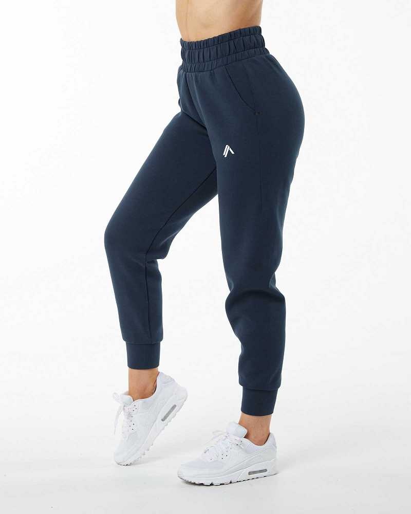 Dámské Kalhoty Jogger Alphalete ELMTS Cuffed Blankyt | CZ-019235
