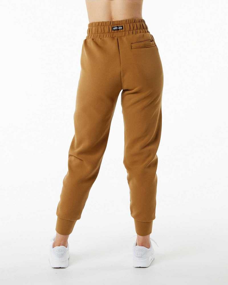 Dámské Kalhoty Jogger Alphalete ELMTS Cuffed Hnědé | CZ-708451