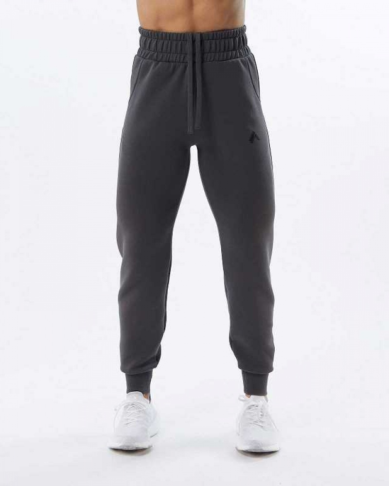 Dámské Kalhoty Jogger Alphalete ELMTS Cuffed Šedé | CZ-528012