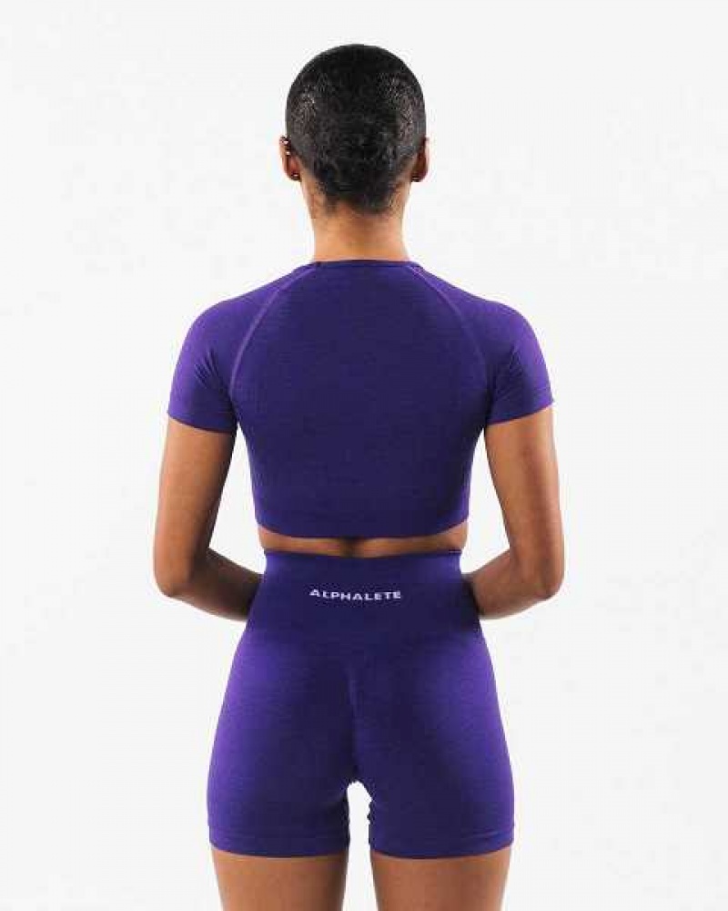 Dámské Košile S Krátkým Rukávem Alphalete Amplify SS Crop Fialové | CZ-927841