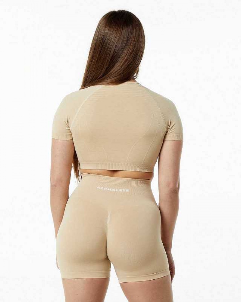 Dámské Košile S Krátkým Rukávem Alphalete Amplify V-Neck Crop Hnědé | CZ-578629