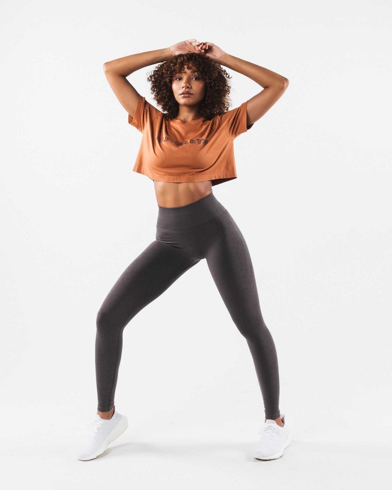 Dámské Košile S Krátkým Rukávem Alphalete Core Airtech SS Crop Oranžové | CZ-601823