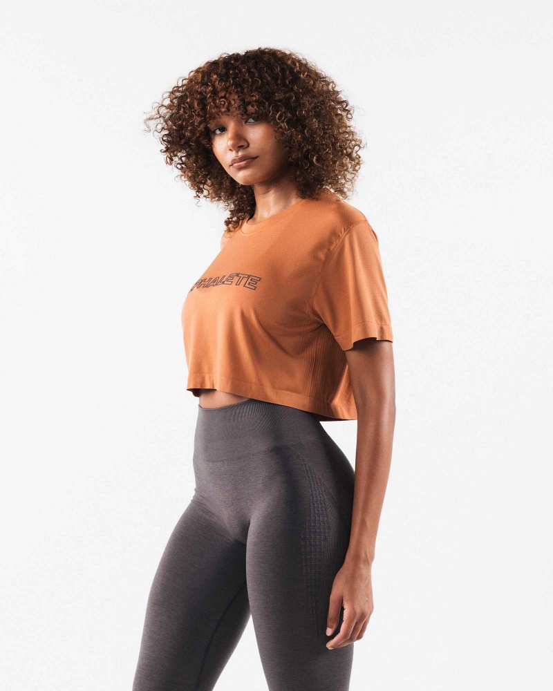 Dámské Košile S Krátkým Rukávem Alphalete Core Airtech SS Crop Oranžové | CZ-601823