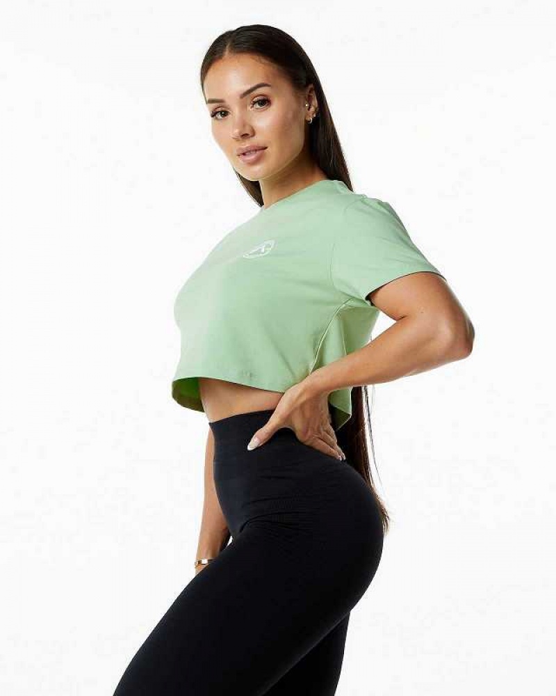 Dámské Košile S Krátkým Rukávem Alphalete Dynasty Crop Zelene | CZ-254701