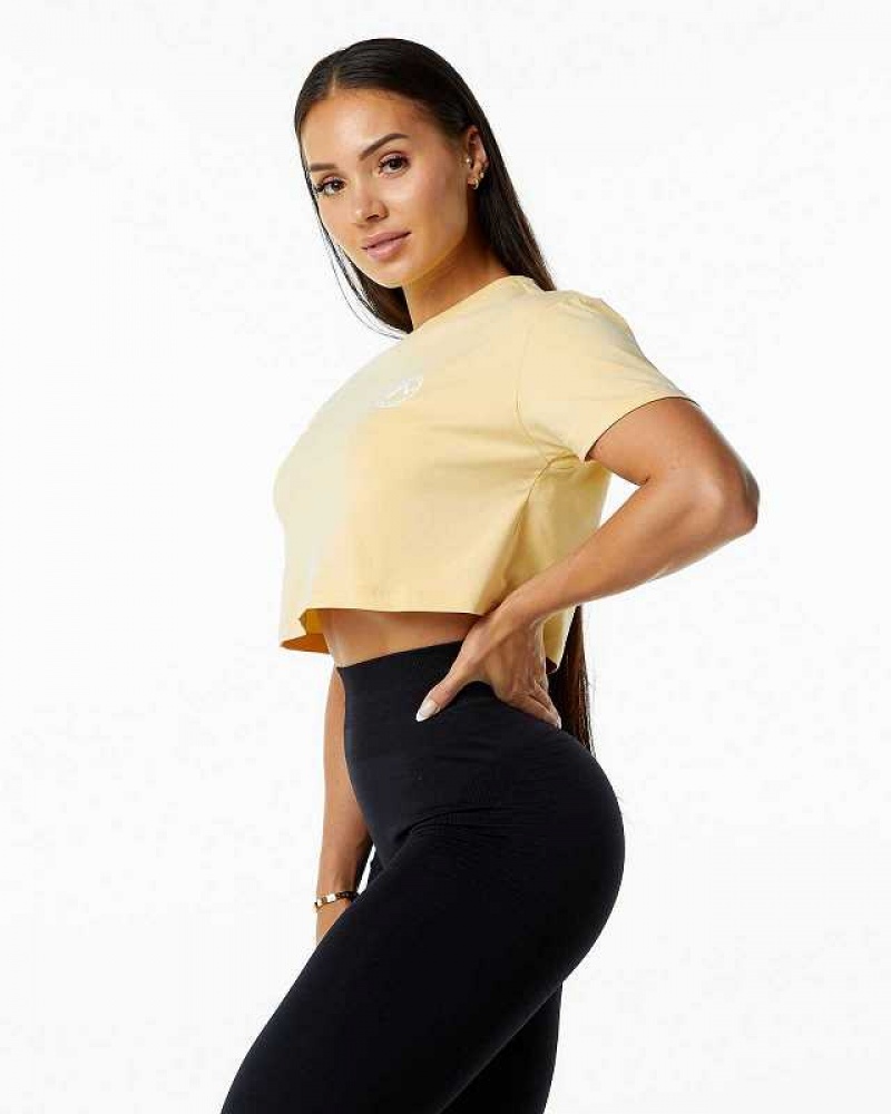 Dámské Košile S Krátkým Rukávem Alphalete Dynasty Crop Žluté | CZ-608953
