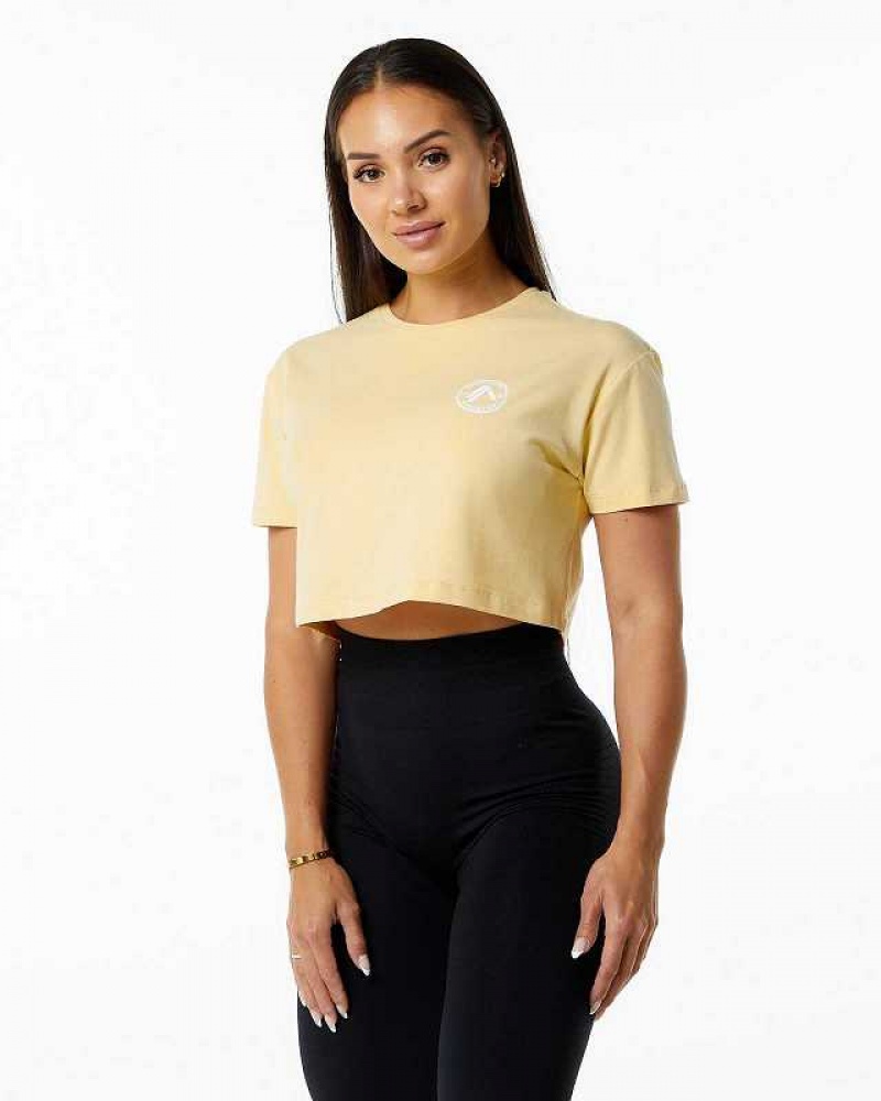 Dámské Košile S Krátkým Rukávem Alphalete Dynasty Crop Žluté | CZ-608953