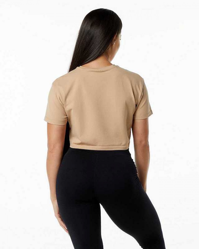 Dámské Košile S Krátkým Rukávem Alphalete Dynasty Crop Hnědé | CZ-301589