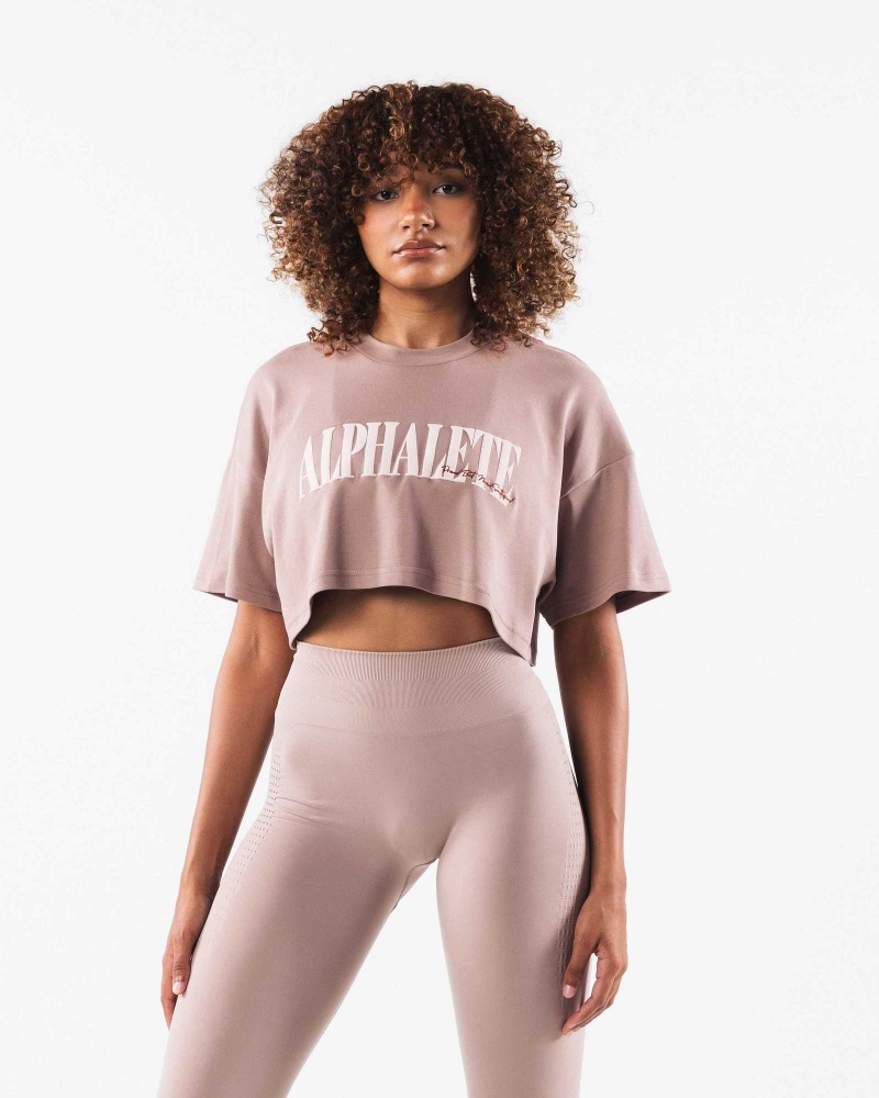 Dámské Košile S Krátkým Rukávem Alphalete Republic Crop Hnědé | CZ-245137