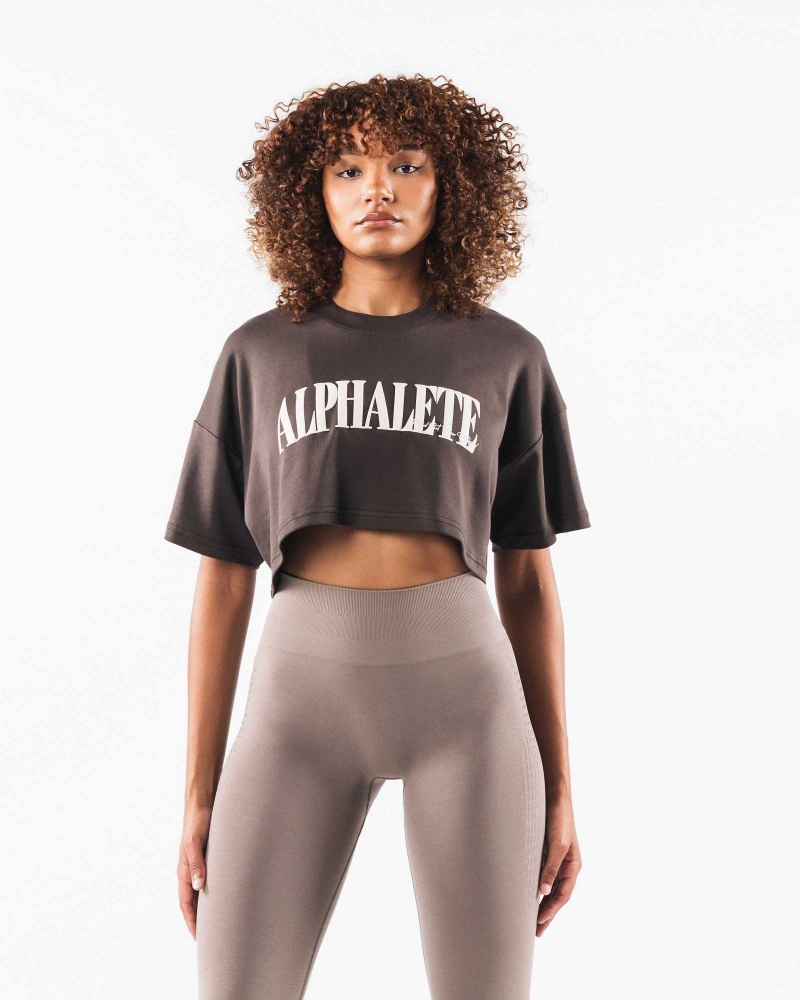 Dámské Košile S Krátkým Rukávem Alphalete Republic Crop Hnědé | CZ-862917