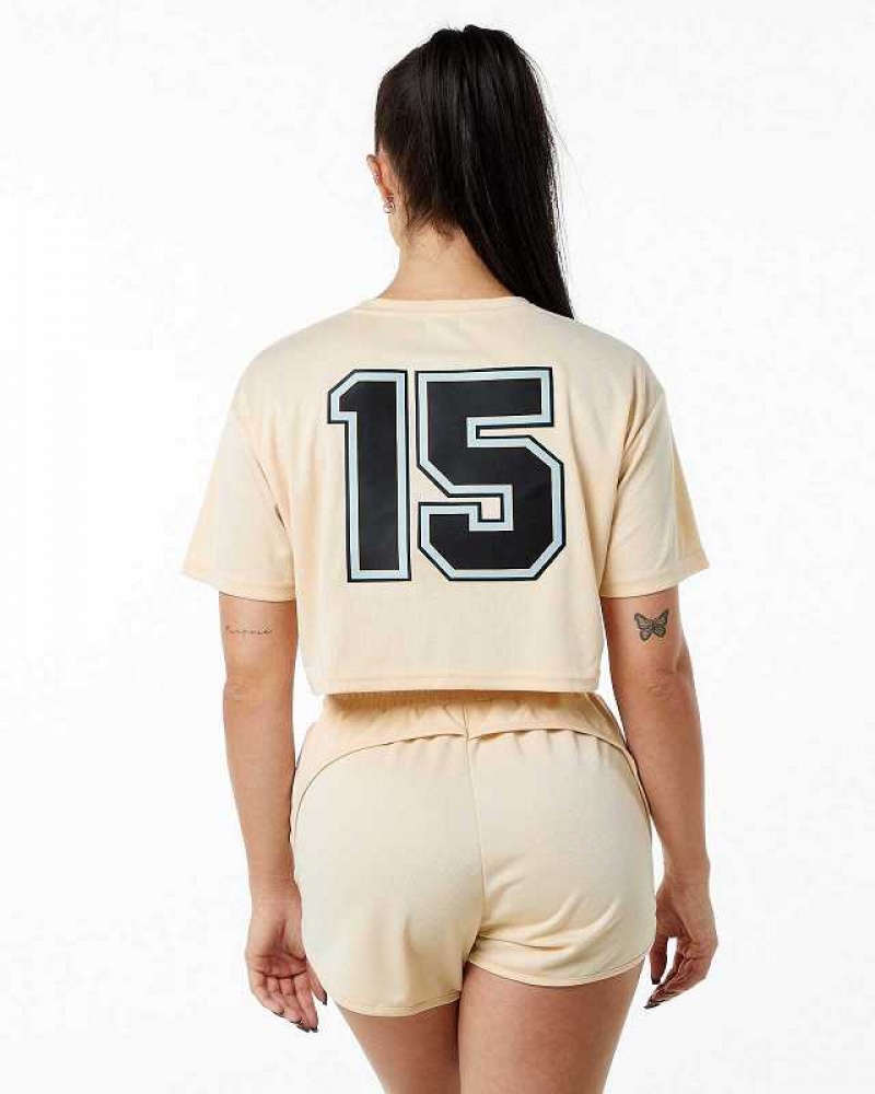 Dámské Košile S Krátkým Rukávem Alphalete Varsity Crop Hnědé | CZ-527893