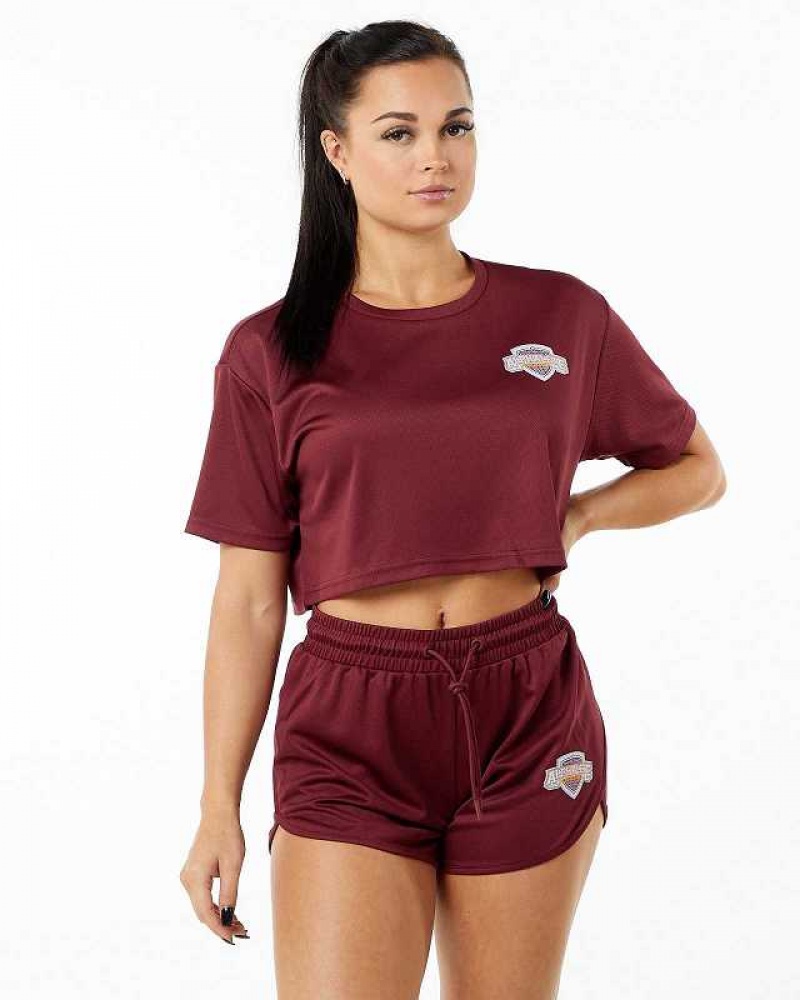 Dámské Košile S Krátkým Rukávem Alphalete Varsity Crop Červené | CZ-548027