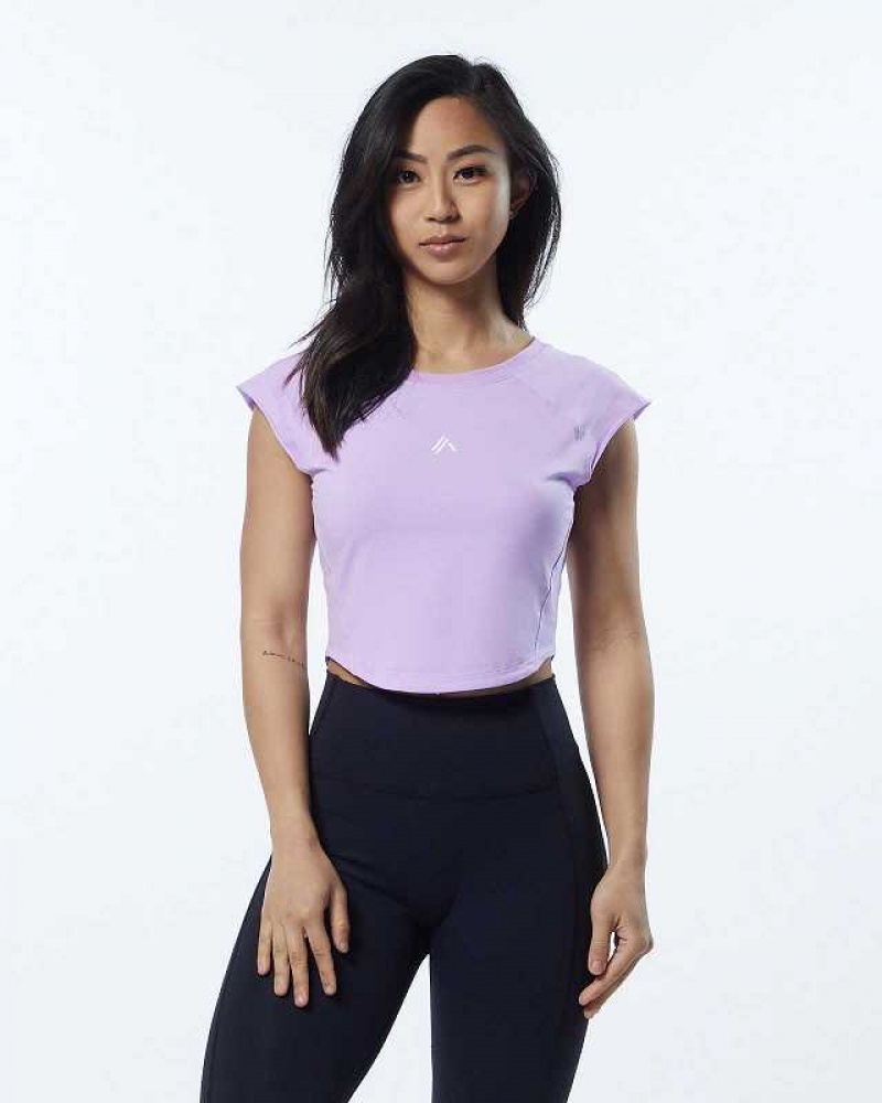 Dámské Košile S Krátkým Rukávem Alphalete Velocity Crop Fialové | CZ-382796