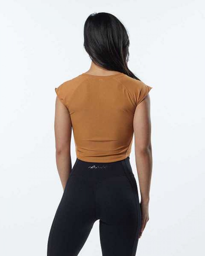 Dámské Košile S Krátkým Rukávem Alphalete Velocity Crop Hnědé | CZ-456392