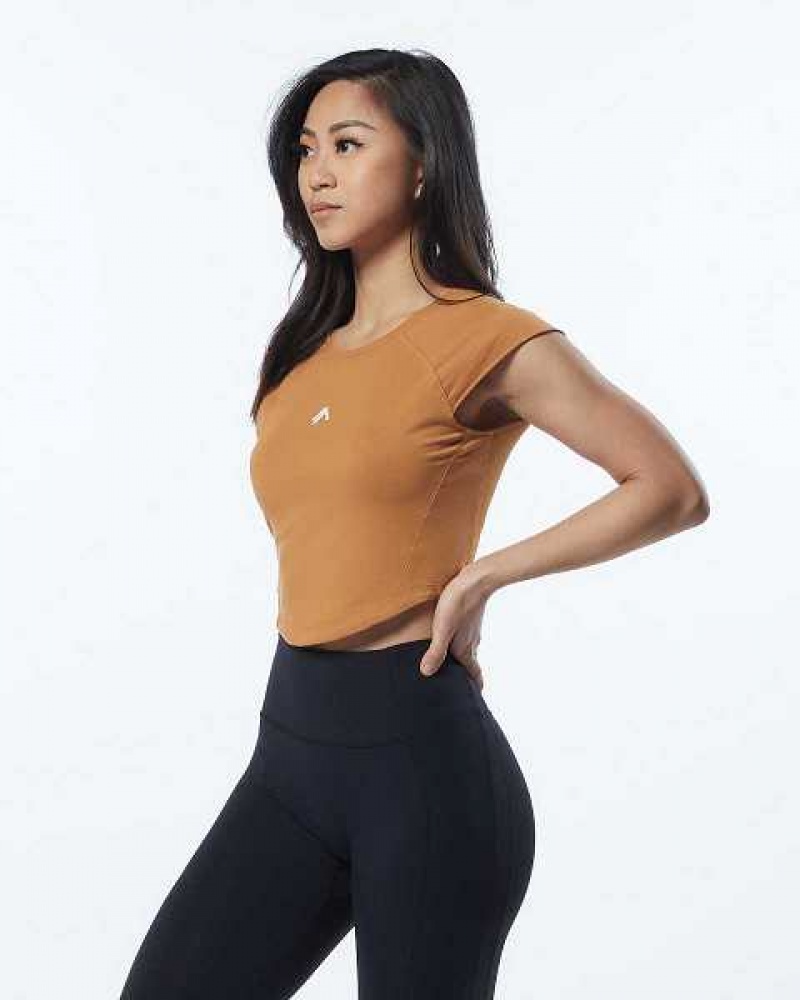 Dámské Košile S Krátkým Rukávem Alphalete Velocity Crop Hnědé | CZ-456392