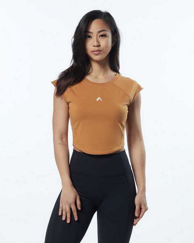Dámské Košile S Krátkým Rukávem Alphalete Velocity Crop Hnědé | CZ-456392