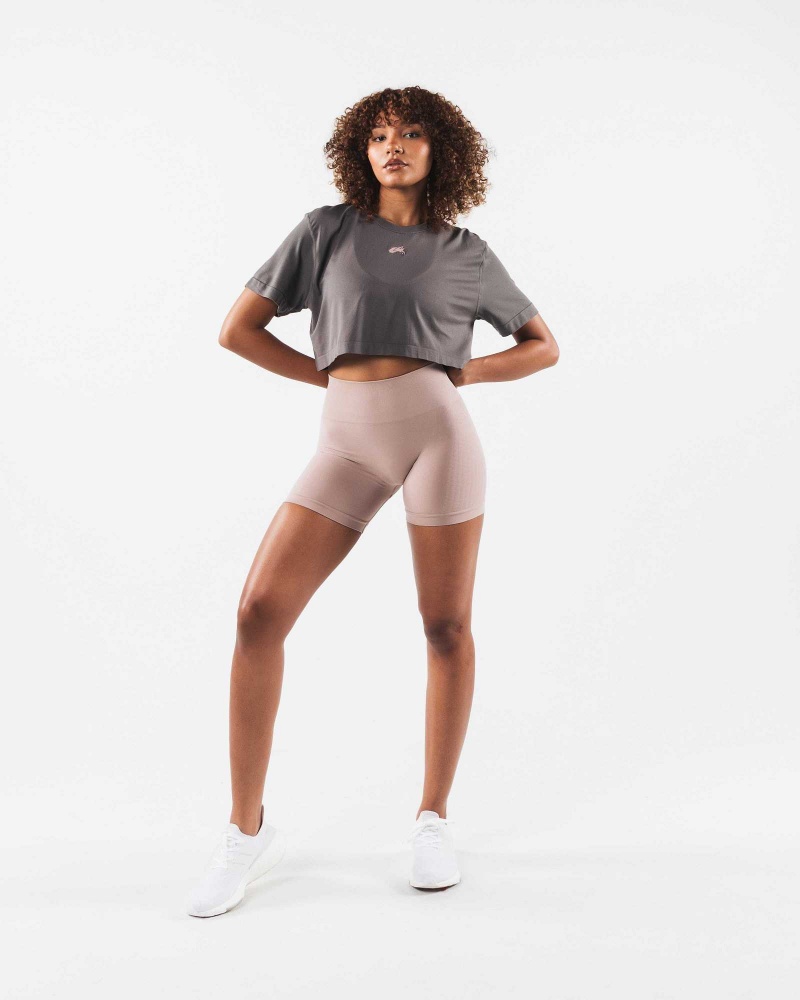 Dámské Košile S Krátkým Rukávem Alphalete Wolf Head Airtech SS Crop Šedé | CZ-106782