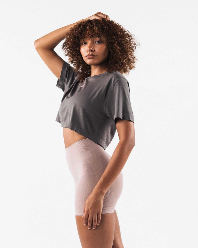 Dámské Košile S Krátkým Rukávem Alphalete Wolf Head Airtech SS Crop Šedé | CZ-106782