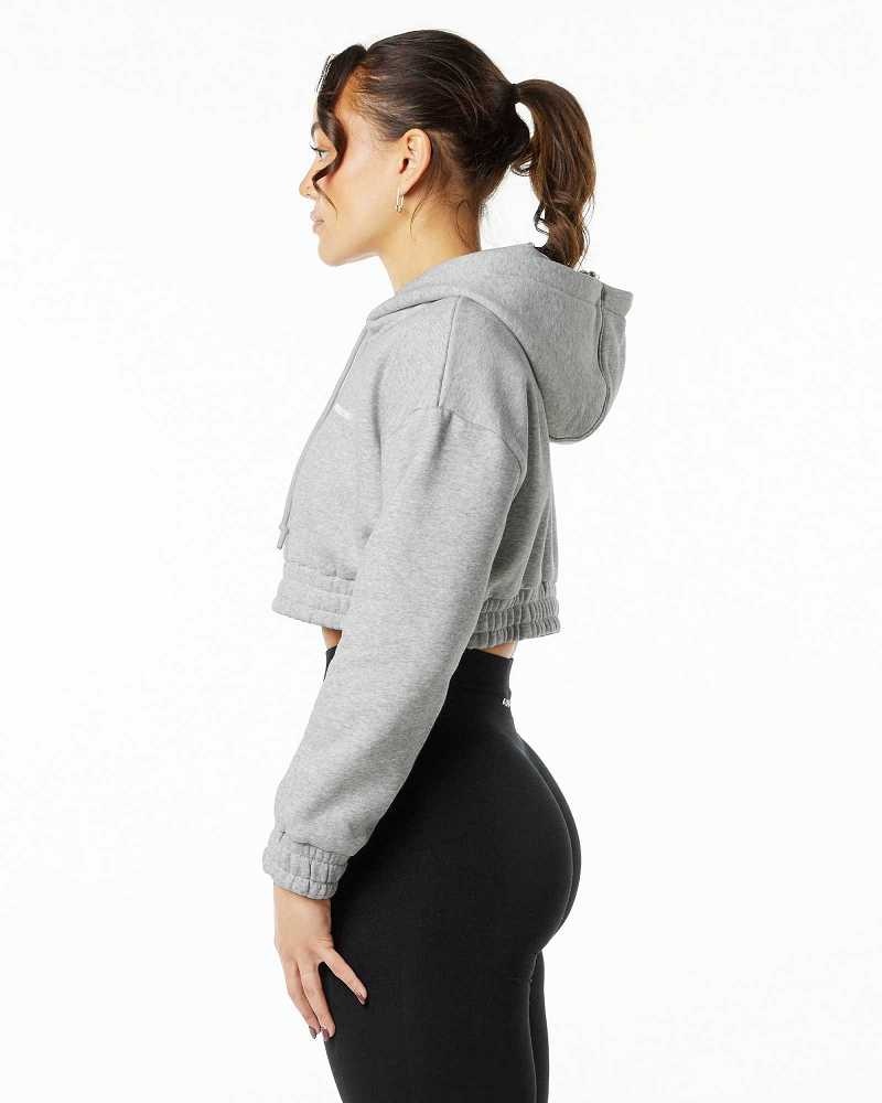 Dámské Mikina s Kapucí Alphalete Classic Capital Crop Šedé | CZ-365024