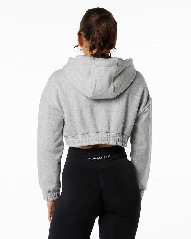 Dámské Mikina s Kapucí Alphalete Classic Capital Crop Šedé | CZ-365024