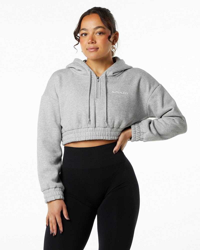 Dámské Mikina s Kapucí Alphalete Classic Capital Crop Šedé | CZ-365024