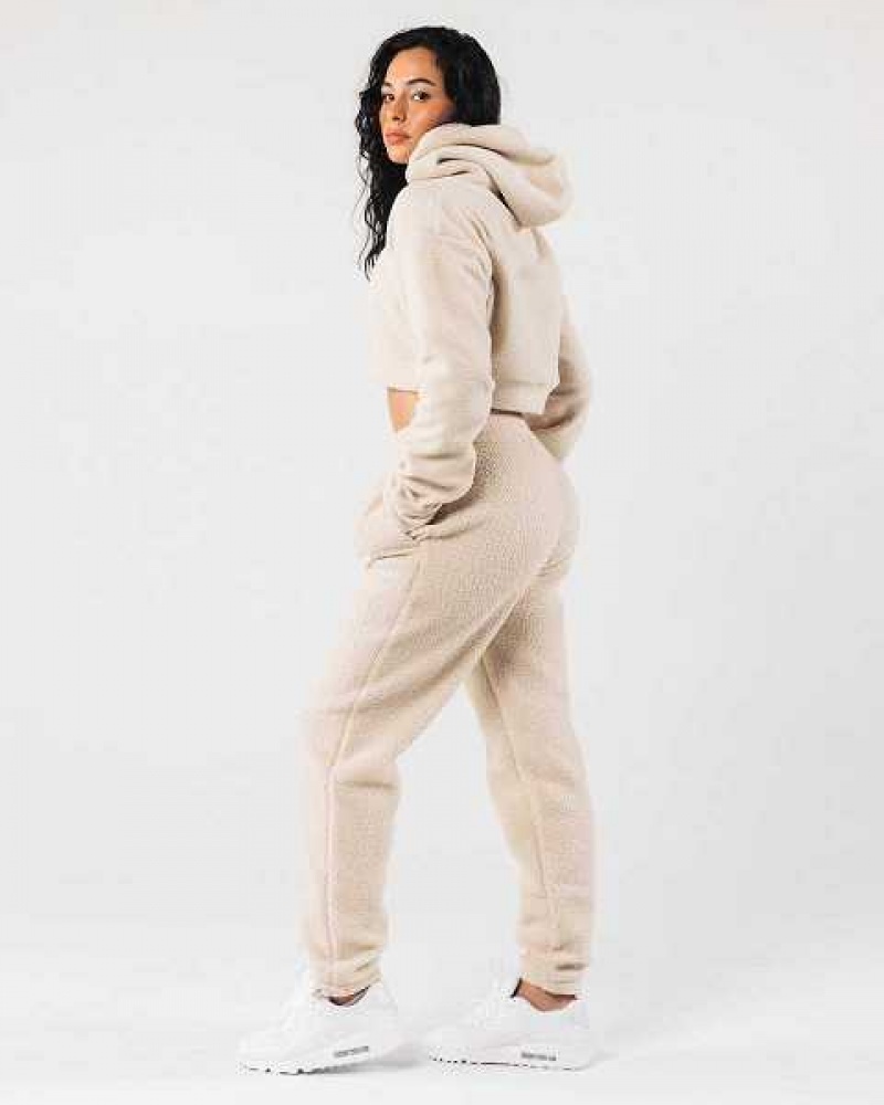 Dámské Mikina s Kapucí Alphalete King Crop Hnědé | CZ-132407