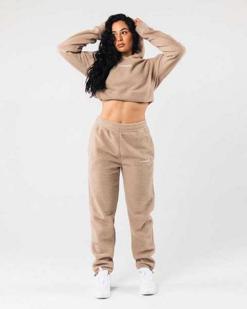 Dámské Mikina s Kapucí Alphalete King Crop Hnědé | CZ-314987