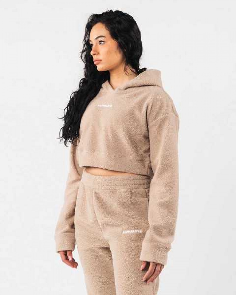 Dámské Mikina s Kapucí Alphalete King Crop Hnědé | CZ-314987