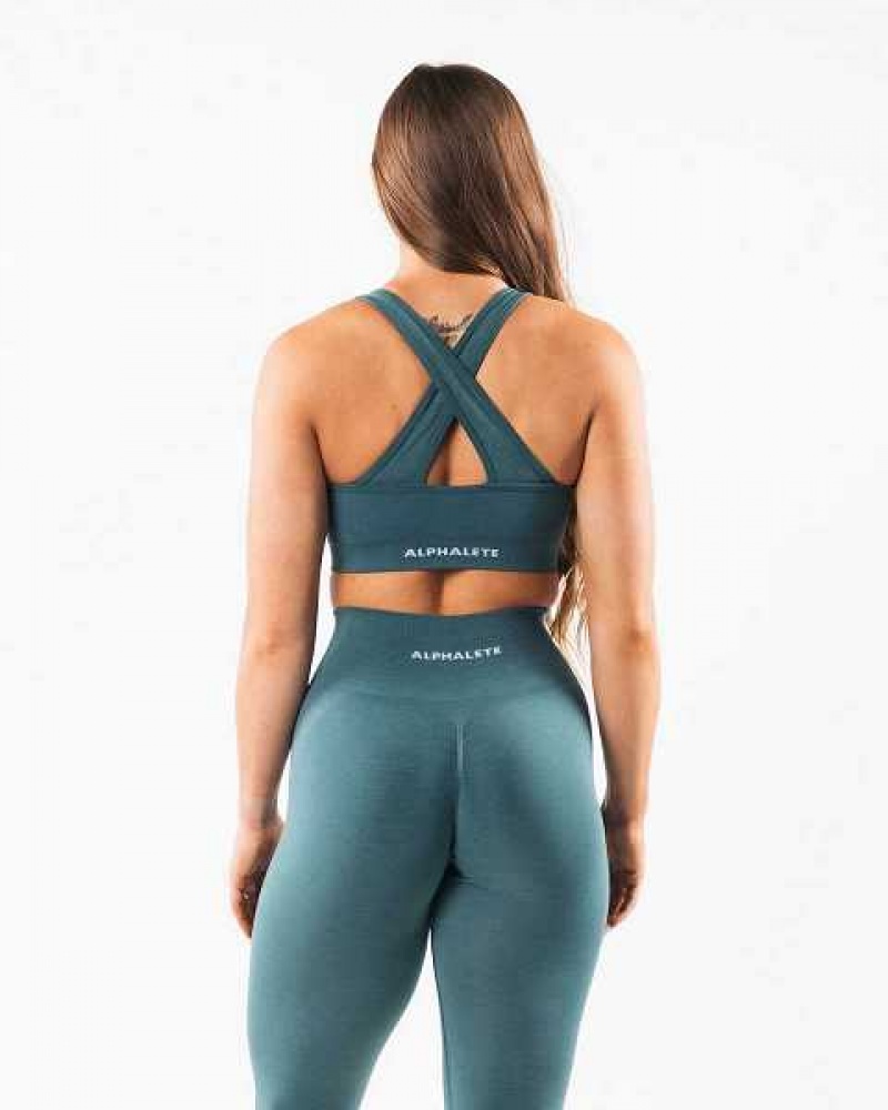 Dámské Sportovní Podprsenka Alphalete Amplify Blankyt | CZ-132950