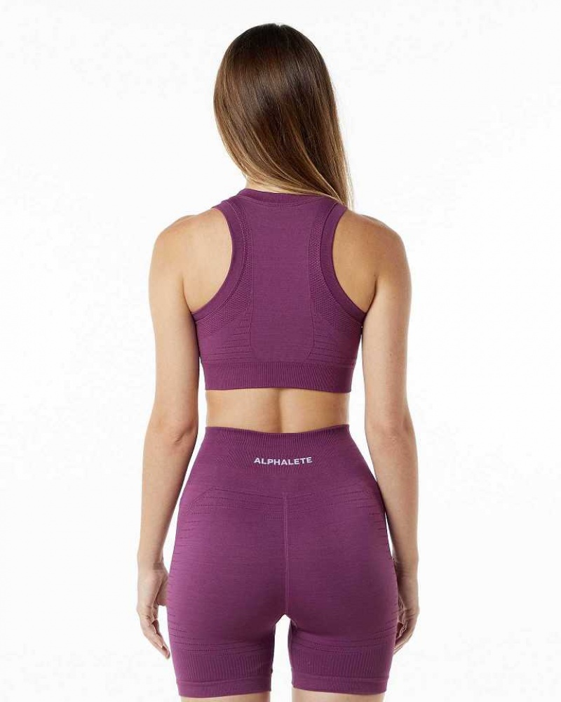 Dámské Sportovní Podprsenka Alphalete Ozone Crop Fialové | CZ-285403