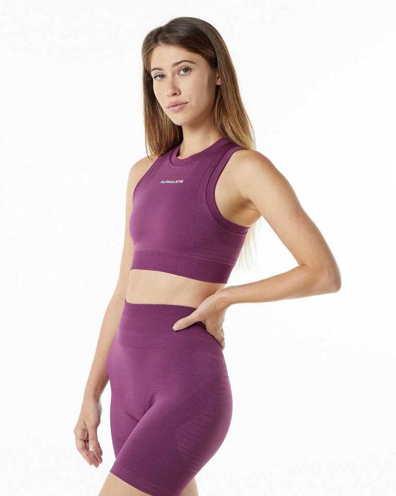 Dámské Sportovní Podprsenka Alphalete Ozone Crop Fialové | CZ-285403