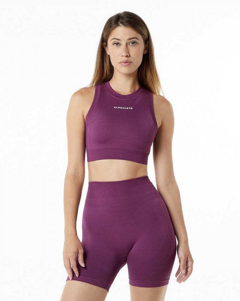 Dámské Sportovní Podprsenka Alphalete Ozone Crop Fialové | CZ-285403