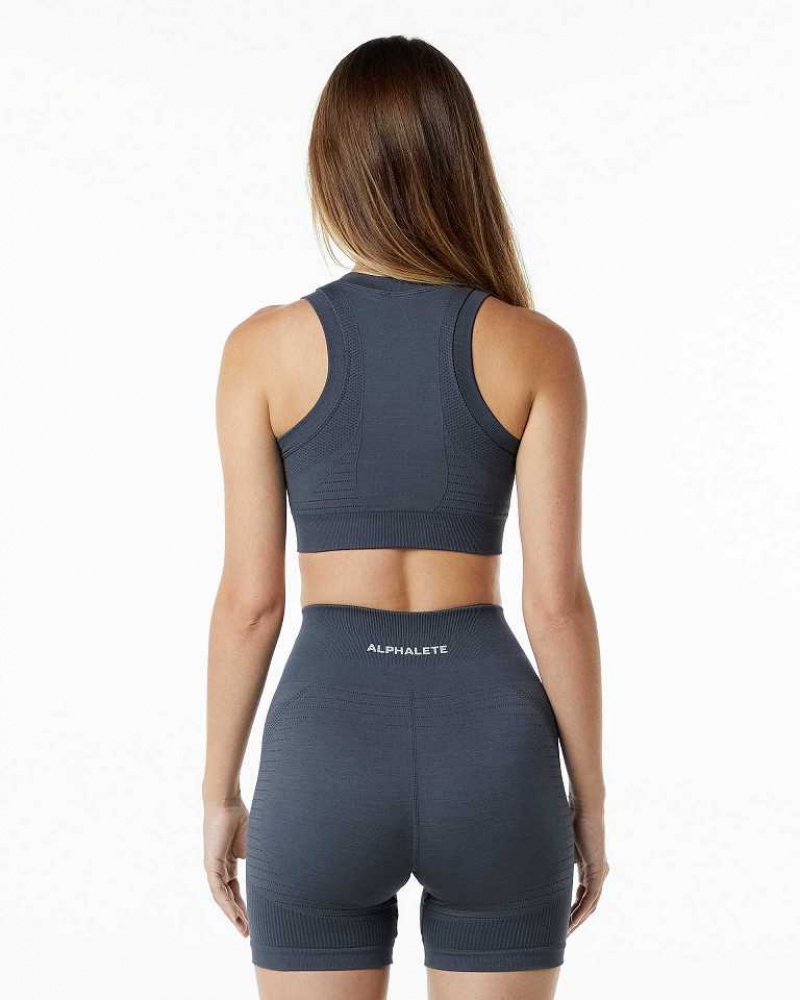 Dámské Sportovní Podprsenka Alphalete Ozone Crop Šedé | CZ-125497